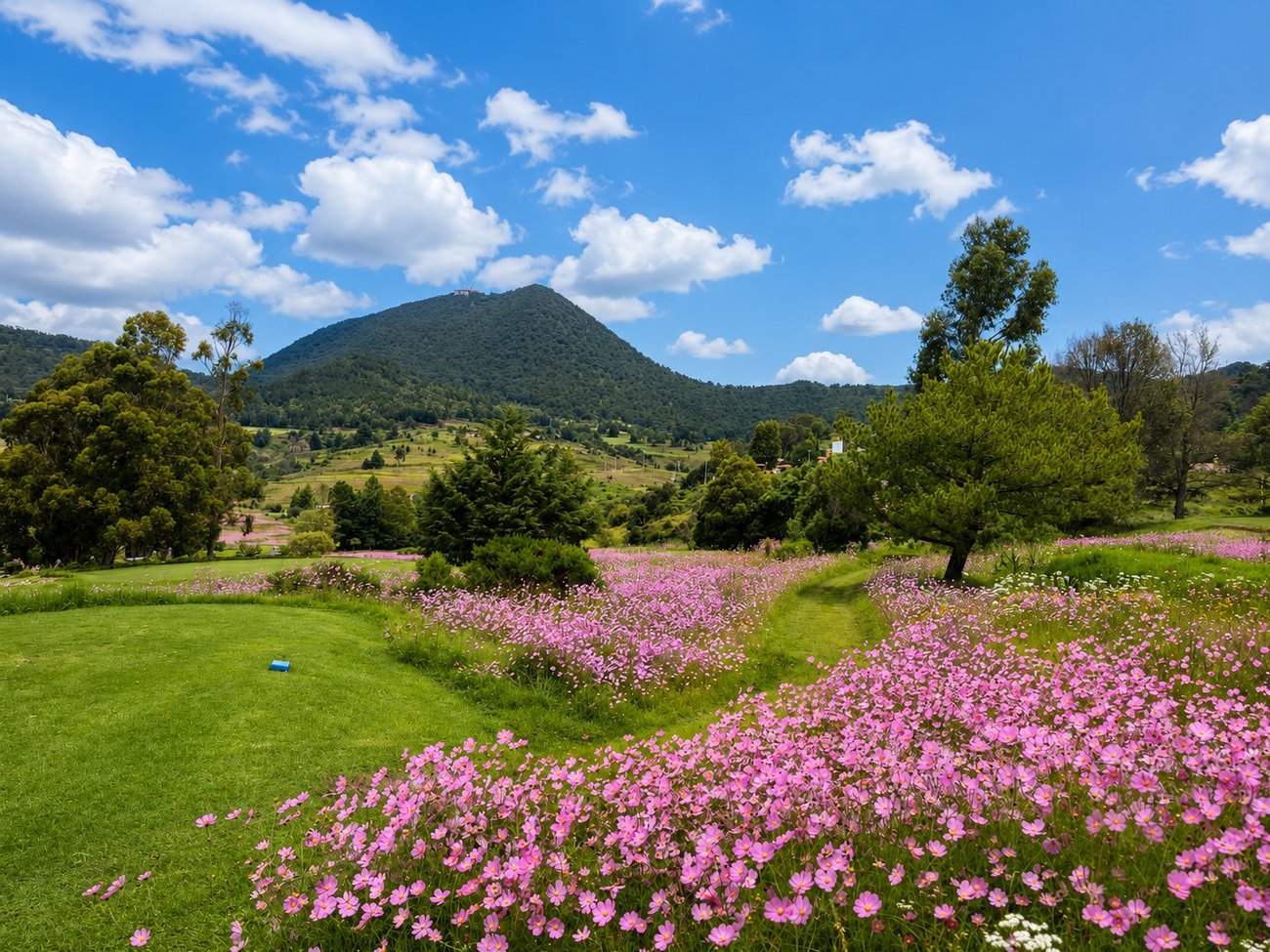 Campo de golf con campo de flores moradas y el cerro de fondo